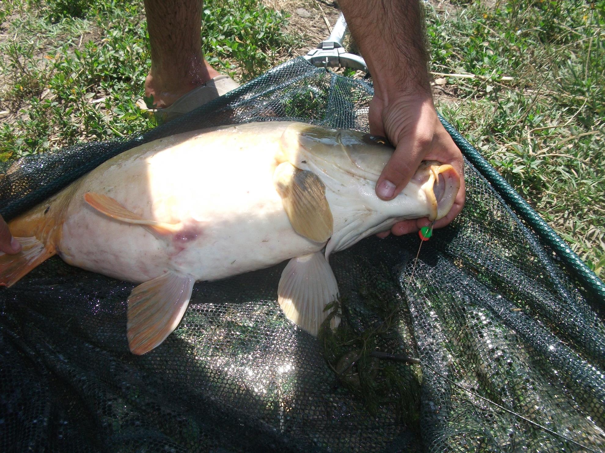 Walter 25-26.07.2013 - dscf0728.jpg